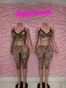 Cheetah set